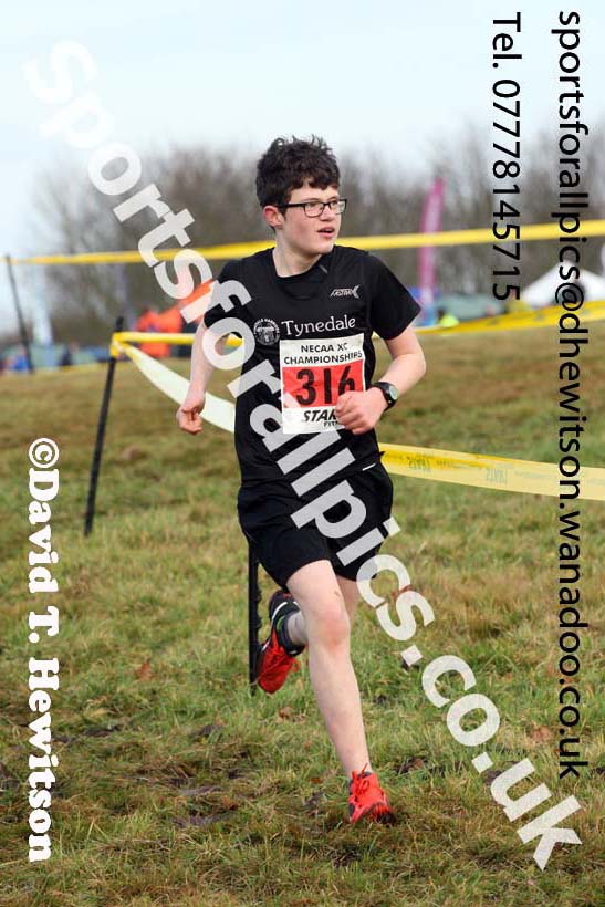 Boys under-15s North Eastern Cross Country, Aykley Heads, Durham. Photo: David T. Hewitson/Sports for All Pics
